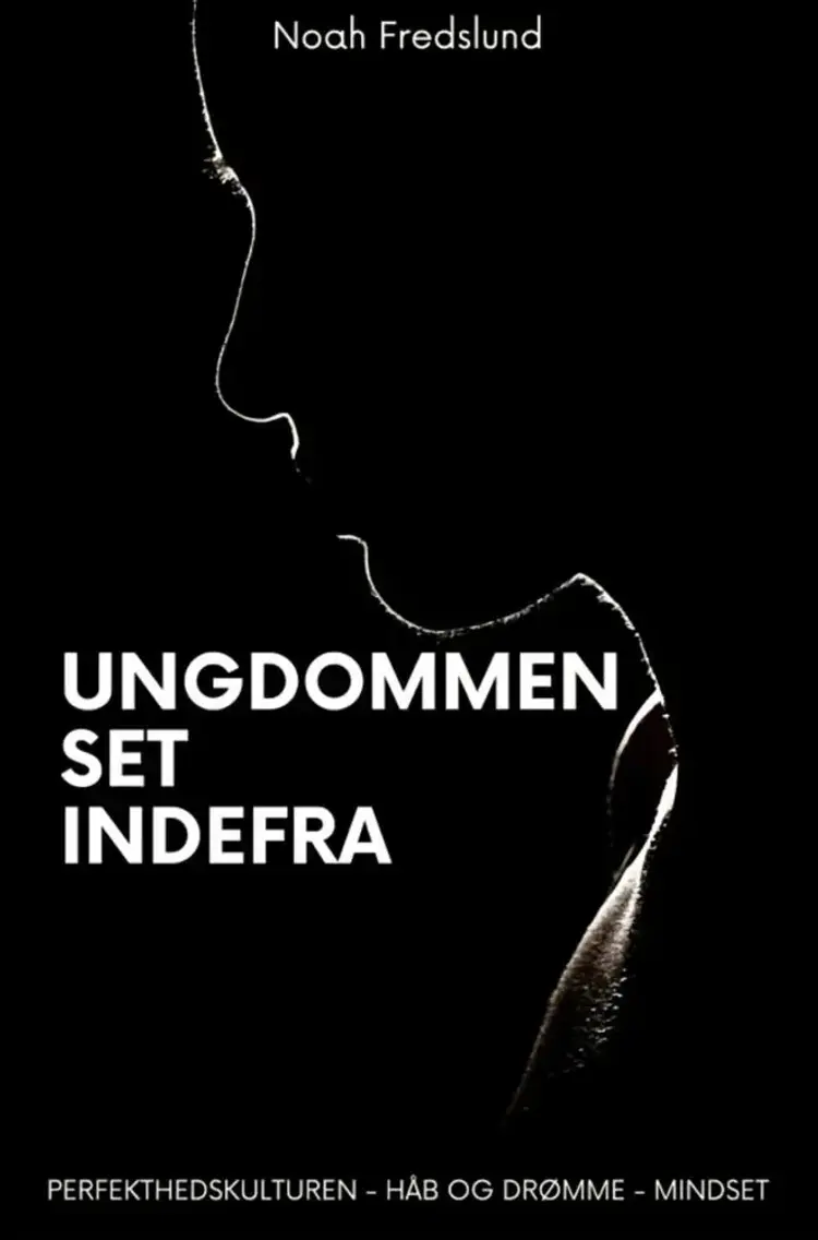 Ungdommen set indefra af Noah Fredslund
