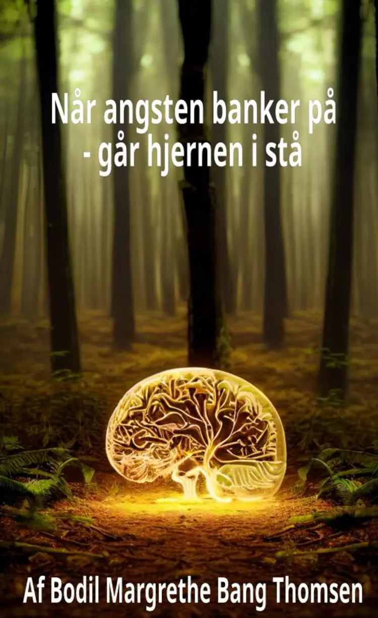 Når angsten banker på af Bodil Margrethe Bang Thomsen