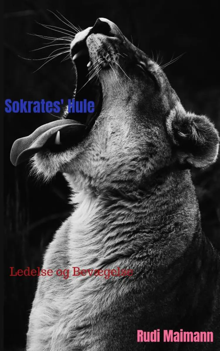 Sokrates' Hule af Rudi Maimann