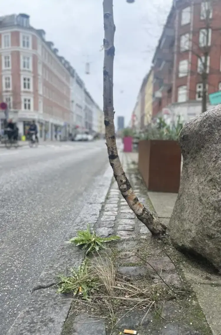 You can never hold back spring af Nikolai Troest
