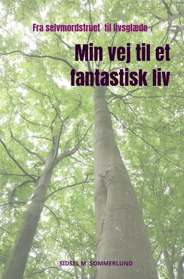 Min vej til et fantastisk liv af Sidsel Sommerlund