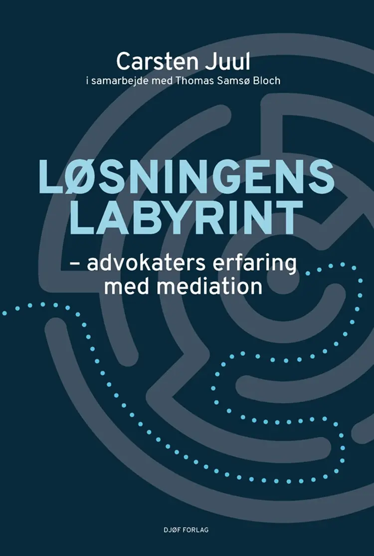 Løsningens labyrint af Carsten Juul