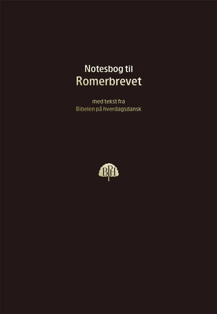Romerbrevet af Eva Meile