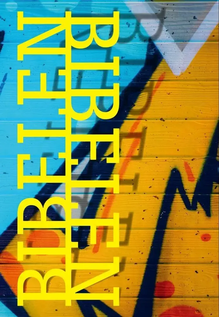 Bibelen på Hverdagsdansk, indbunden, teen 