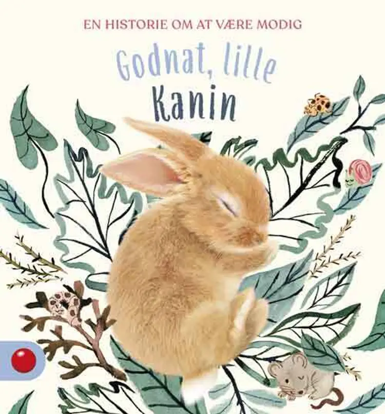 Godnat, lille Kanin