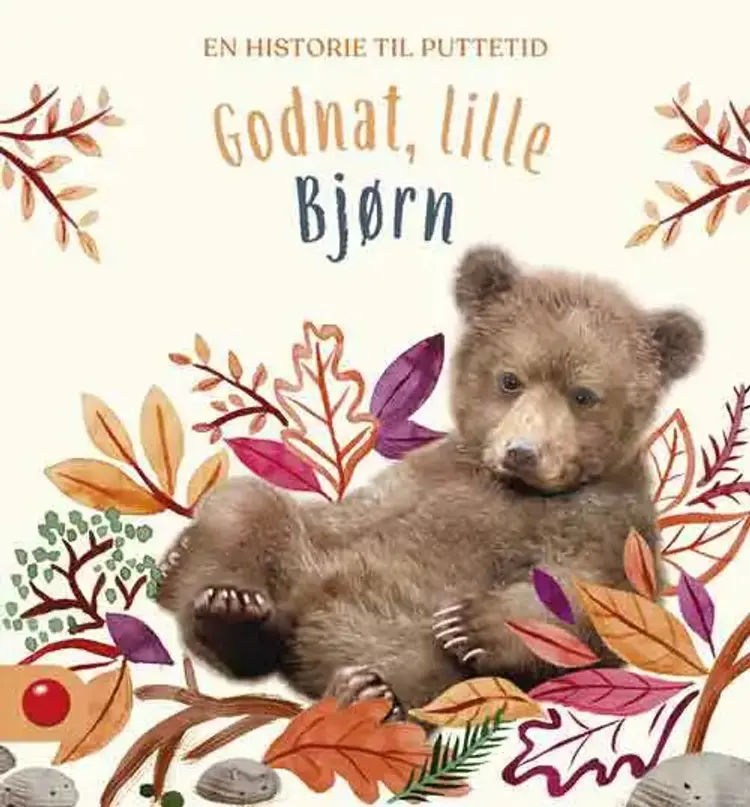 Godnat, Lillebjørn af Britta Teckentrup