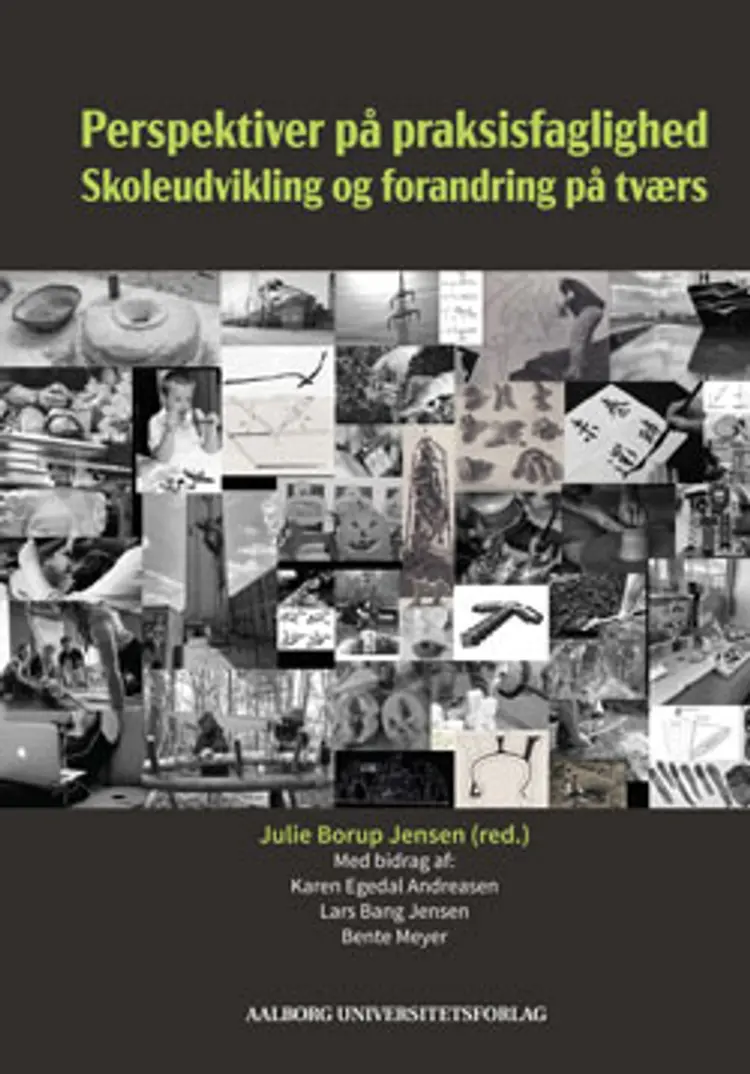 Perspektiver på praksisfaglighed af Julie Borup Jensen