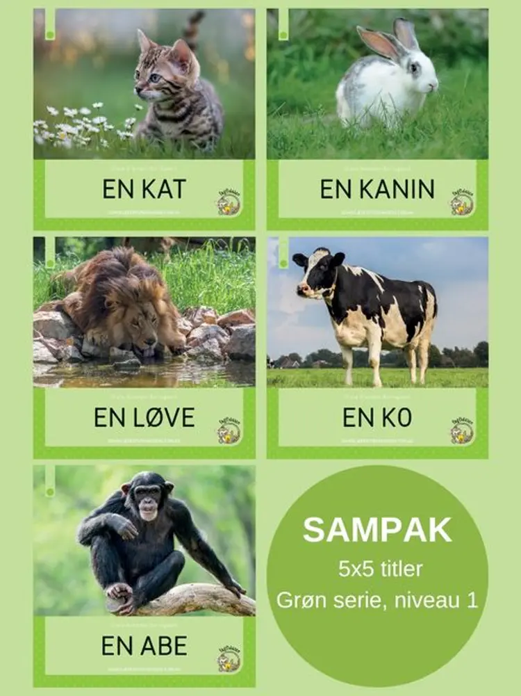 Fagfidusen. Niveau 1. Sampak A af Grete Wiemann Borregaard
