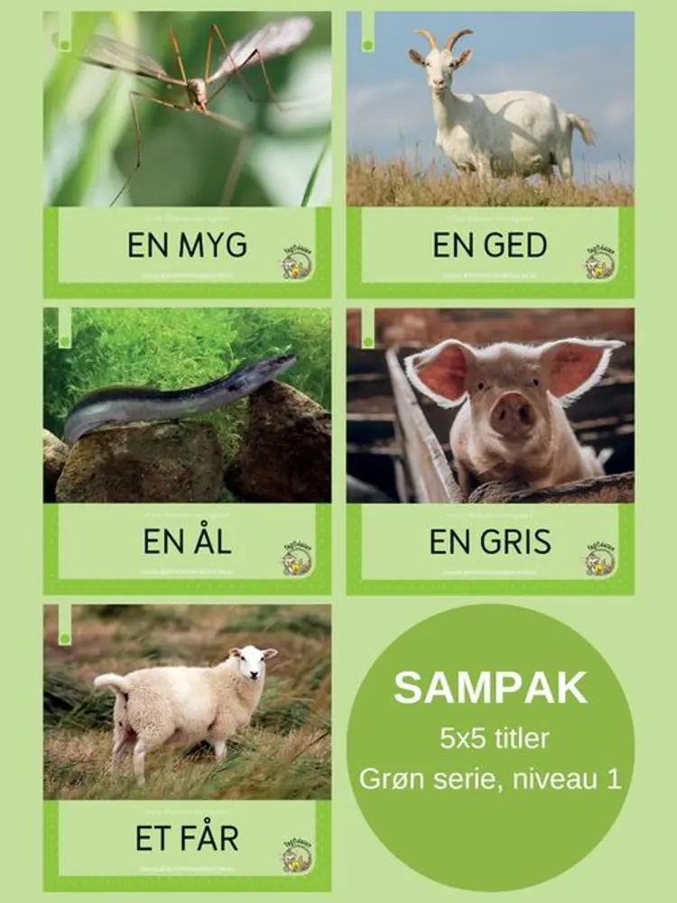 Fagfidusen. Niveau 1. Sampak B af Grete Wiemann Borregaard