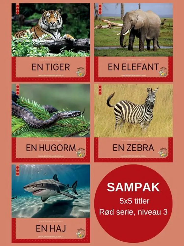 Fagfidusen. Niveau 3. Sampak A af Grete Wiemann Borregaard
