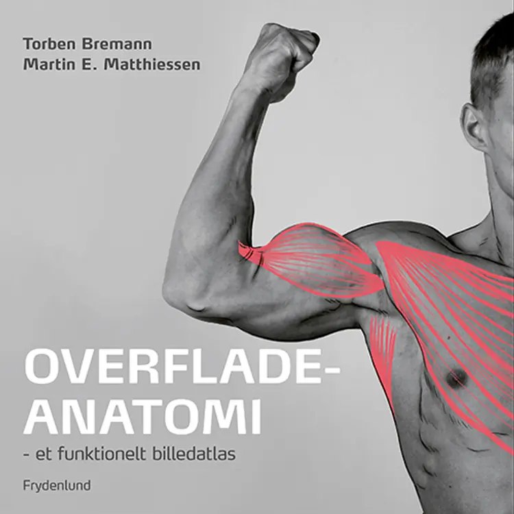 Overfladeanatomi af Martin Ebbe Matthiessen