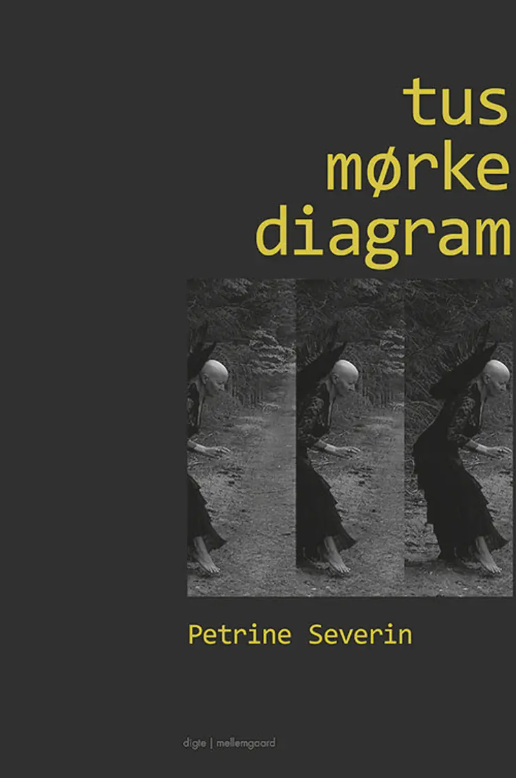 Tusmørkediagram af Petrine Severin
