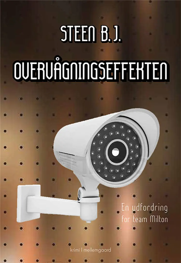 Overvågningseffekten af Steen B. J.