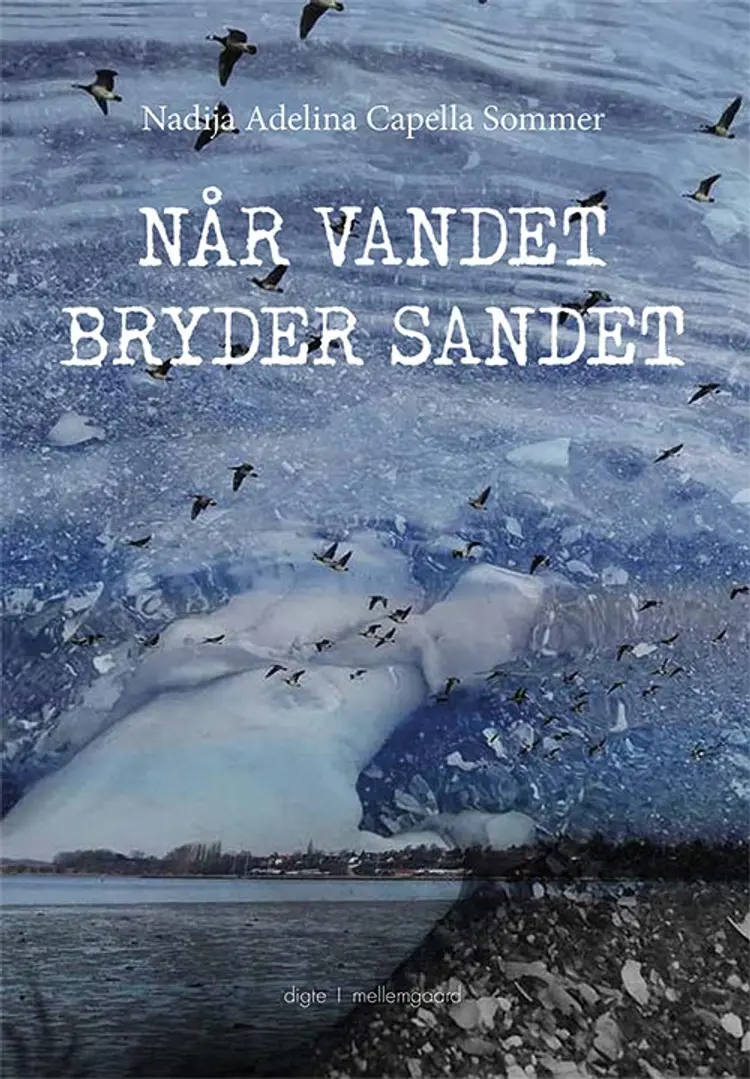 Når vandet bryder sandet af Nadija Adelina Capella Sommer