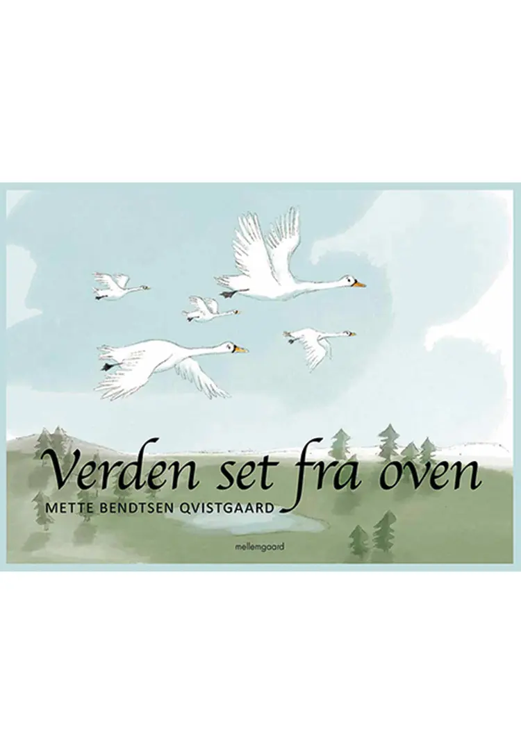 Verden set fra oven af Mette Bendtsen Qvistgaard
