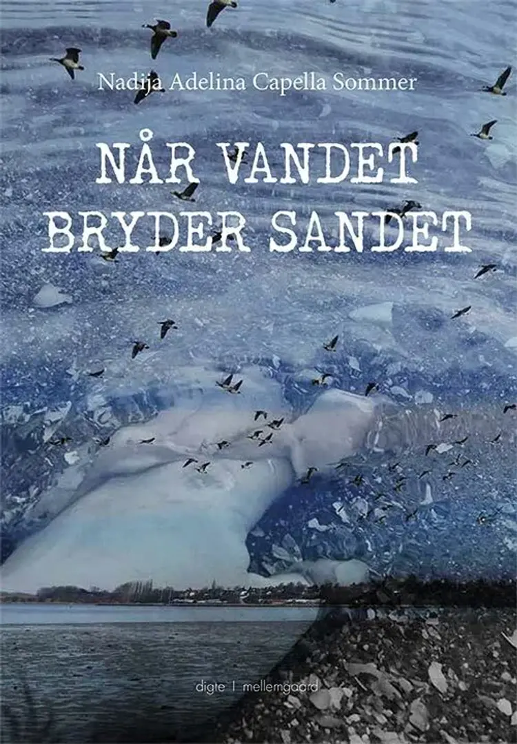 Når vandet bryder sandet af Nadija Adelina Capella Sommer Sommer