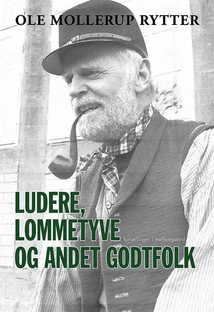Ludere, lommetyve og andet godtfolk af Ole Mollerup Rytter