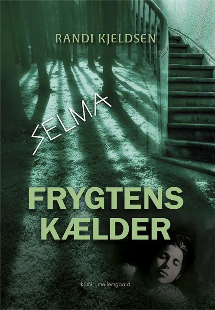 Frygtens kælder af Randi Kjeldsen