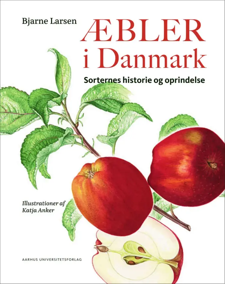 Æbler i Danmark af Bjarne Larsen