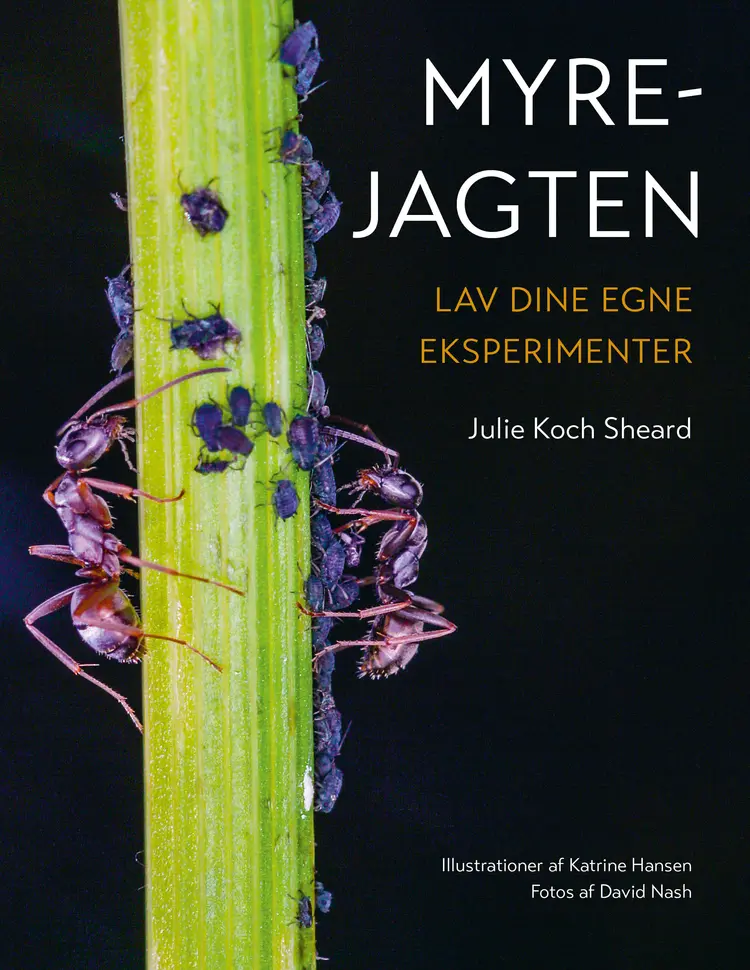 Myrejagten af Julie Koch Sheard