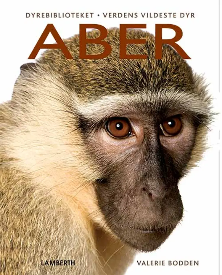 Aber af Valerie Bodden