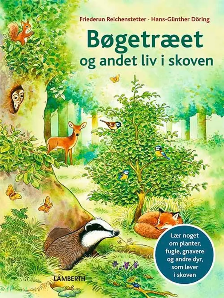 Bøgetræet og andet liv i skoven af Friederun Reichenstetter