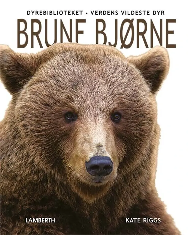 Brune bjørne af Kate Riggs