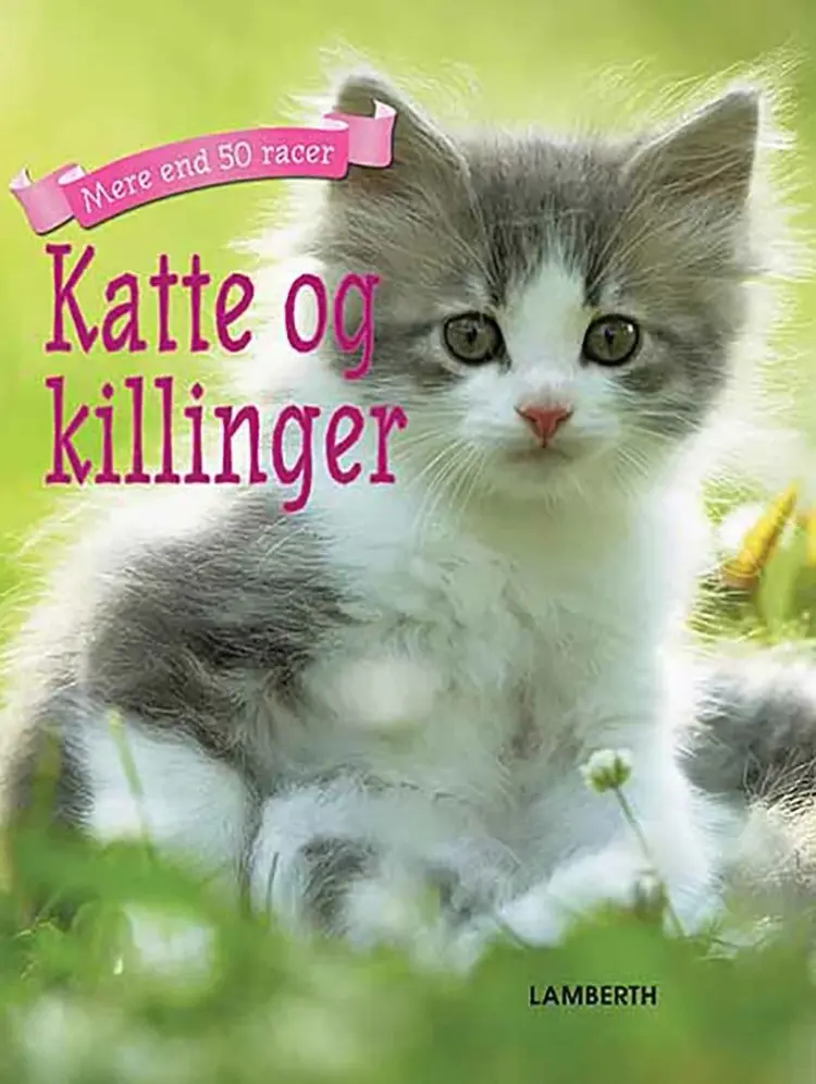 Katte og killinger af Christian Lamberth