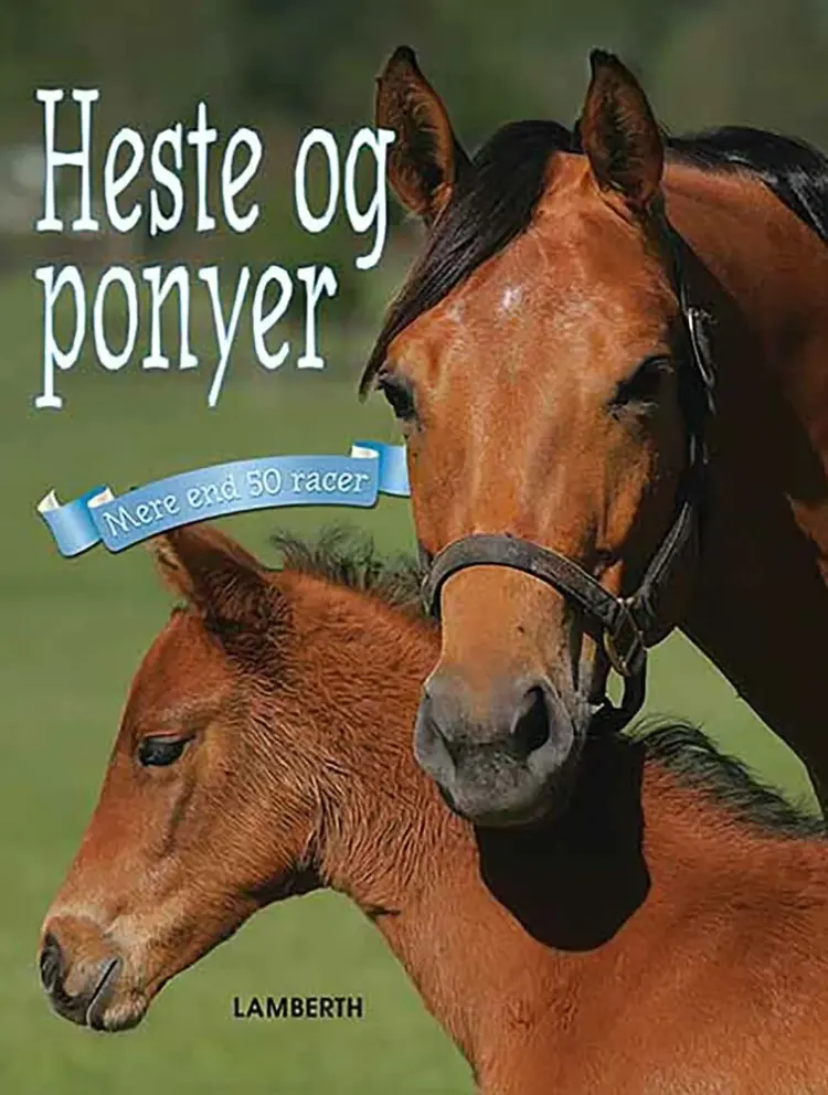 Heste og ponyer af Christian Lamberth