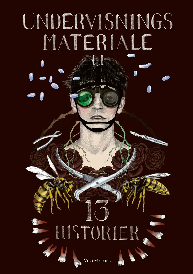 Undervisningsmateriale til 13 HISTORIER af Kia Lundsgaard