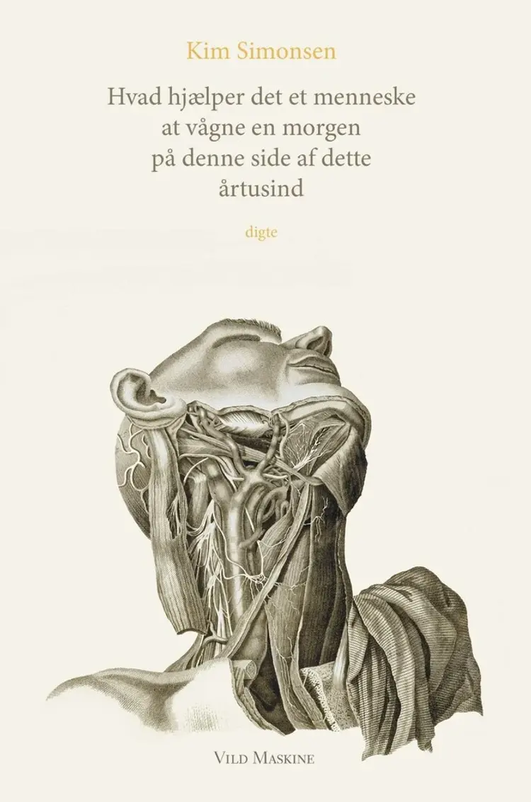 Hvad hjælper det et menneske at vågne en morgen på denne side af dette årtusind af Mads Heinesen