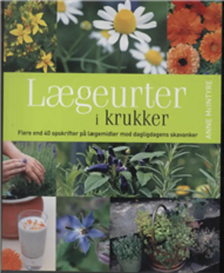 Lægeurter i krukker af Anne McIntyre