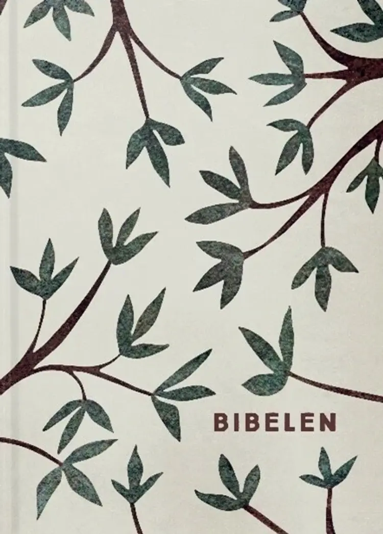 Bibelen i hardback 