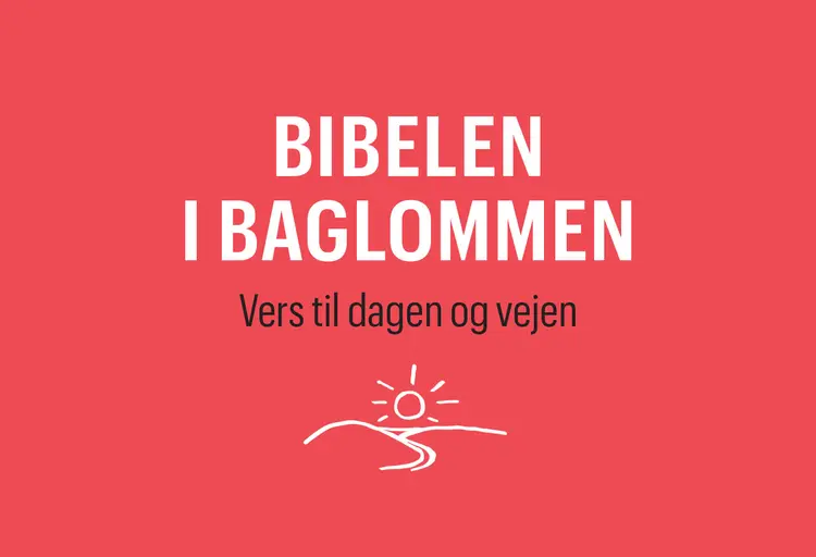 Bibelen i baglommen af Sune Ehlers