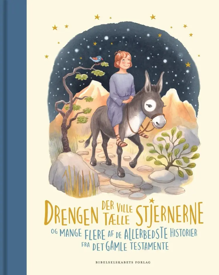 Drengen der ville tælle stjernerne af Birgitte Ahlmann