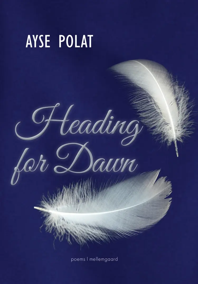 Heading for Dawn af Ayse Polat