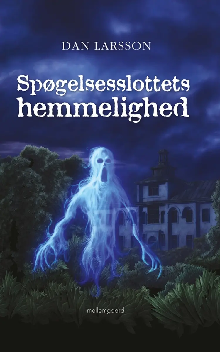 Spøgelsesslottets hemmelighed af Dan Larsson