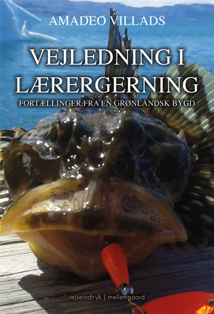 Vejledning i lærergerning af Amadeo Villads