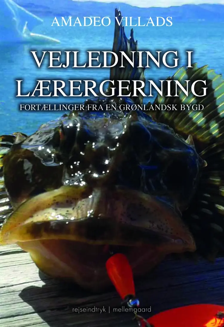 Vejledning i læregerning af Amadeo Villads