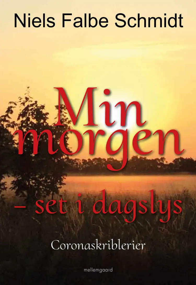 Min morgen - set i dagslys af Niels Falbe Schmidt
