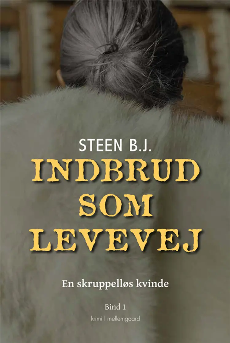 Indbrud som levevej af Steen B. J.