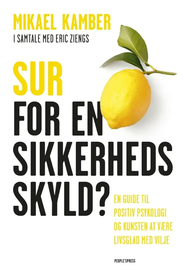Sur for en sikkerheds skyld af Mikael Kamber