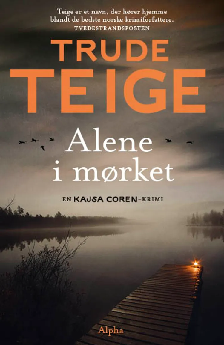 Alene i mørket af Trude Teige