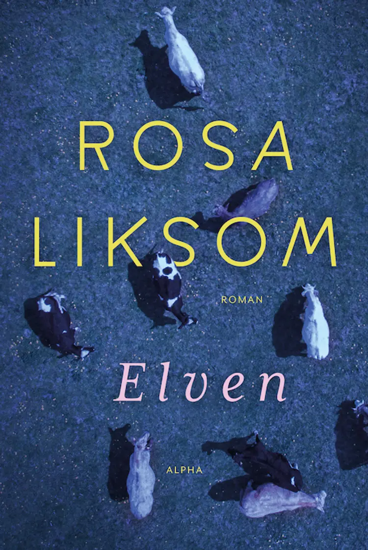 Elven af Rosa Liksom