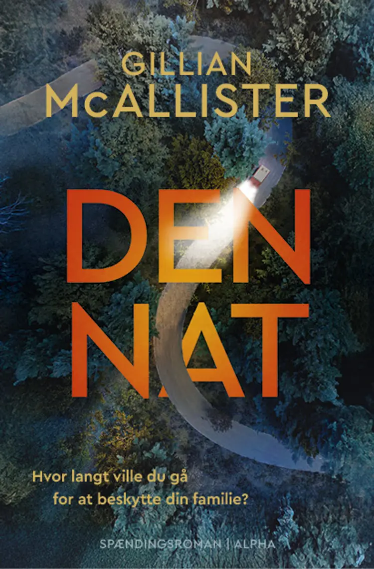 Den nat af Gillian McAllister