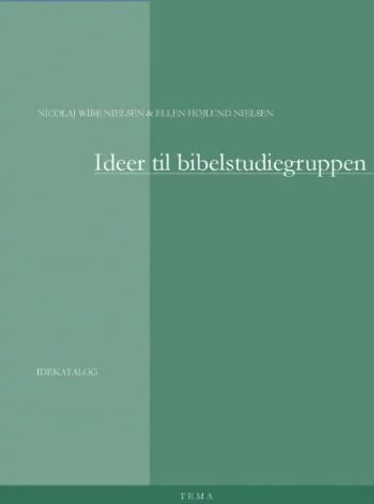 Ideer til bibelstudiegruppen af Nicolaj Wibe Nielsen