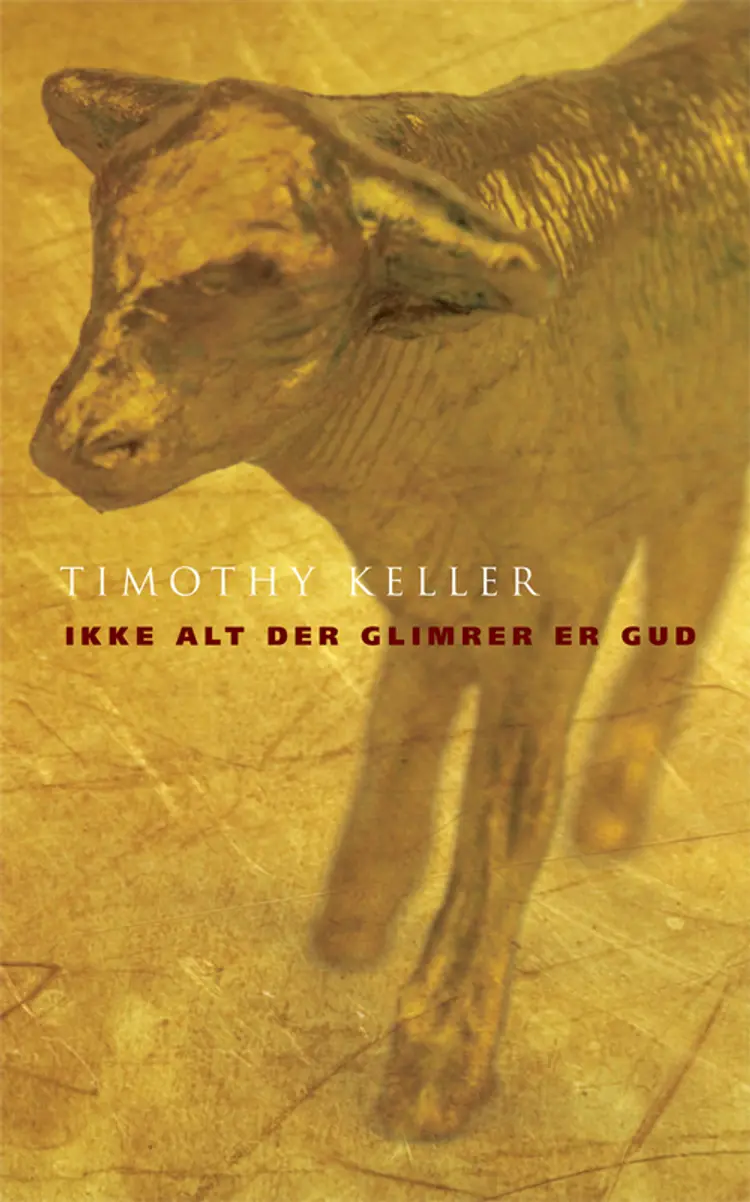 Ikke alt der glimrer er Gud af Timothy Keller