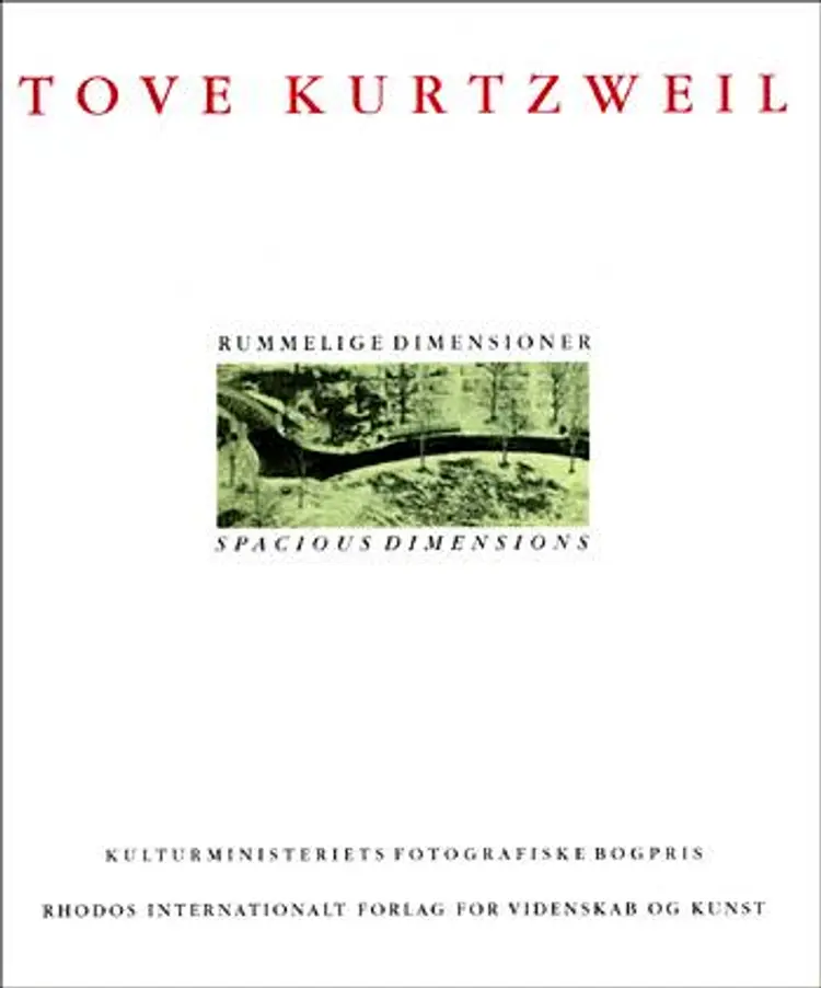 Tove Kurtzweil - rummelige dimensioner af Tove Kurtzweil