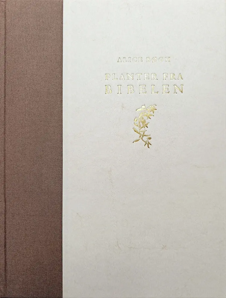 Planter fra Bibelen af Alice Bøgh