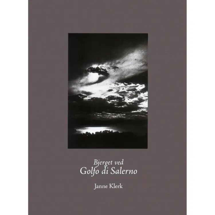 Bjerget ved Golfo di Salerno af Janne Klerk
